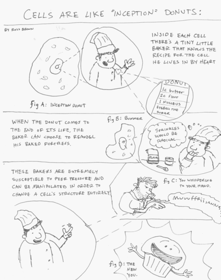 Cell Theory